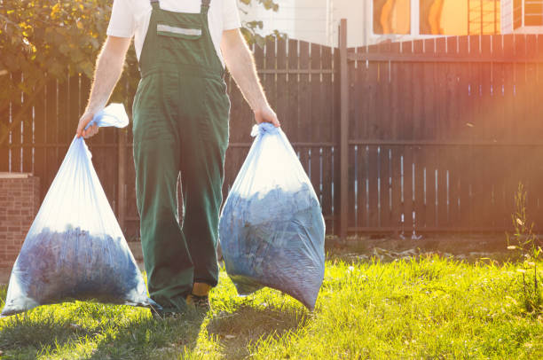 Best Shed Removal  in Grabill, IN